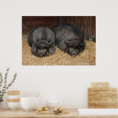Pot Bellied Pigs Imprimer Poster (Cuisine)