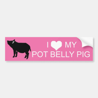 Pot Belly Pig Bumpersticker