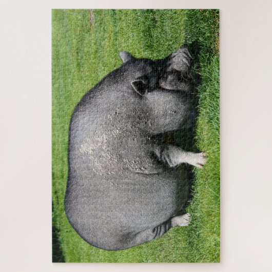 Pot cochon ventré sur l'herbe puzzle puzzle (Vertical)