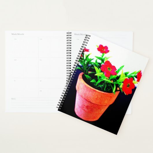 Pot de fleurs (Devant avec enveloppe)