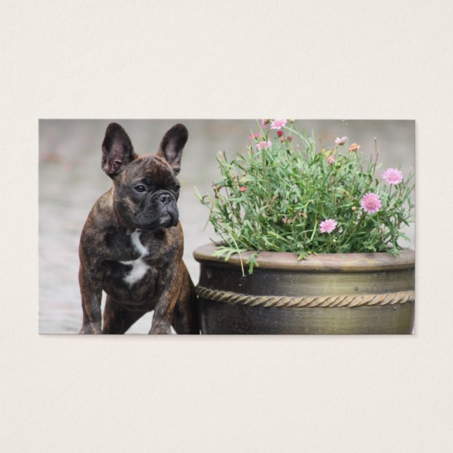 Pot de fleurs Bouledogue Français (Devant)
