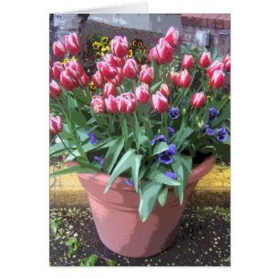 Pot en argile tulipe de printemps