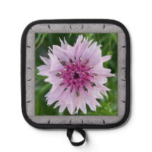Pot Holder met Mooie Roze Nigella