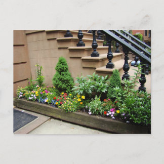 Pot O Trouble Briefkaart