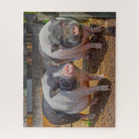 Pot pot ventre Mini cochons Jigsaw Puzzle (Vertical)