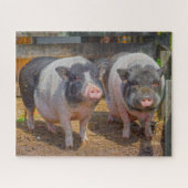 Pot pot ventre Mini cochons Jigsaw Puzzle (Horizontal)