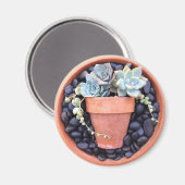 Pot Succulent dans un aimant en pot (Recto/Verso)