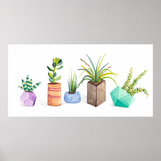 Pot Succulenten Poster (Voorkant)