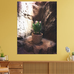 Pot Tulpen in een Grotto Canvas Afdruk