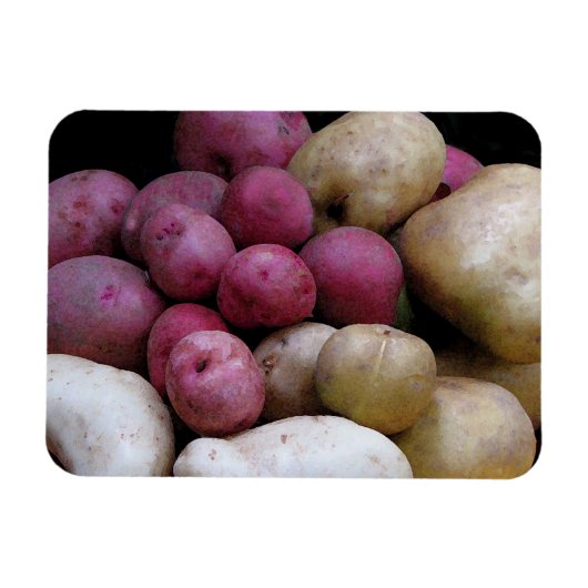 Potato Magnet Magneet (Horizontaal)