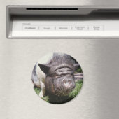 Potbuikspek magneet (Insitu (Vaatwasser))