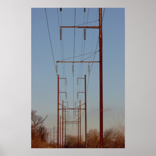 Poteau Pole Wires Photo Poster (Devant)