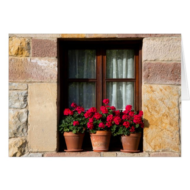 Poten voor bloemen in het dorp (Voorkant Horizontaal)