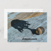 "Potentiële" Briefkaarten (Voorkant / Achterkant)