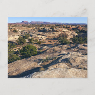 Pothole Point Trail in Canyonlands National Park Briefkaart