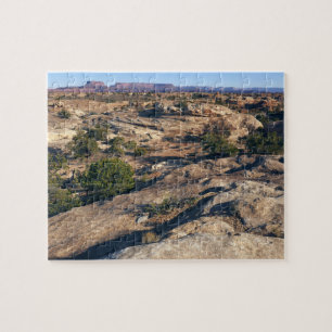 Pothole Point Trail in Canyonlands National Park Legpuzzel