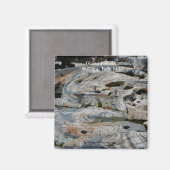 Pothos glaciaires Shelburne Falls MA Magnet (Recto/Verso)