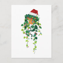 Pothos Hangende Plant Kerstmuts Kerstverlichting