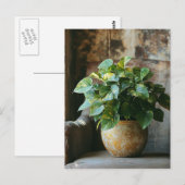 Pothos Plant in een stoel Briefkaart (Voorkant / Achterkant)