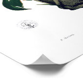 POTHOS ? Poster de la feuille tropicale botanique (Coin)