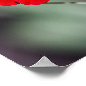 Potlood - rood poster (Hoek)