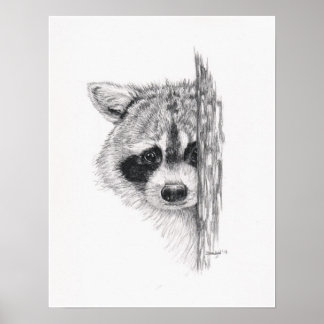 Potlood Tekening 'Peking Raccoon' Poster