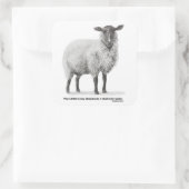 Potlood tekening schapen vierkante sticker (Tas)