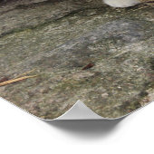 Potlood Vs Camera - 4 Eyes Cat Poster (Hoek)