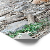 Potlood Vs Camera - Dog en Cat Poster (Hoek)