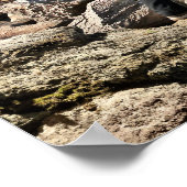 Potlood Vs Camera - Shark Poster (Hoek)