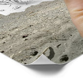 Potlood Vs Camera - X-Ray Poster (Hoek)