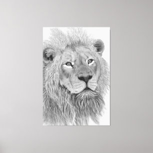 Potloodtekening van een mannelijke Afrikaanse leeu Canvas Afdruk