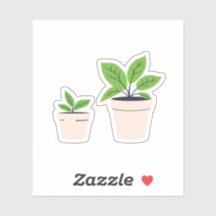 Potplanten
