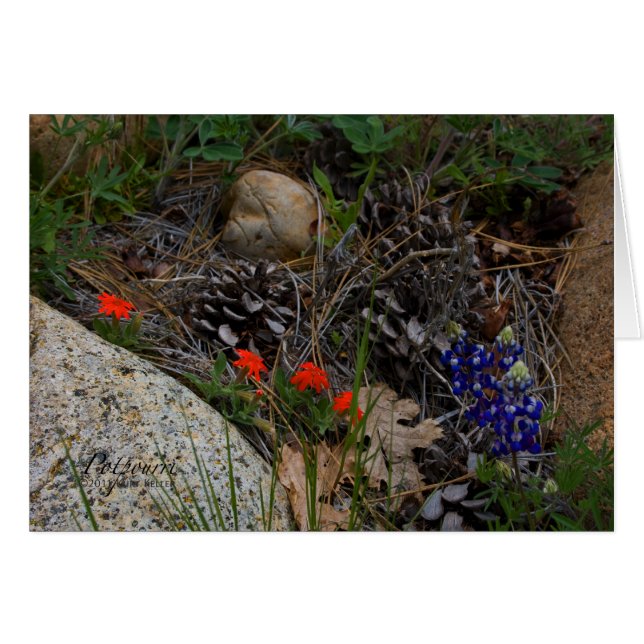 Potpourri (Voorkant Horizontaal)