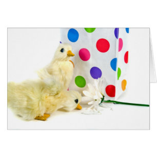 Pots, canards et marguerites