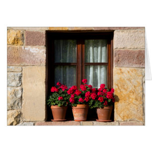 Pots de fleurs de fenêtre dans un village