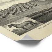 Pottawatomie, Kansas Poster (Hoek)