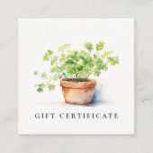 Potted Herb Peterselie Koriander Gift Certificaat (Voorkant)