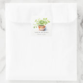 Potted Herb Peterselie Koriander Waterverf Botanis Vierkante Sticker (Tas)