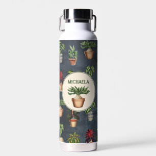 Potten Planten Terracotta Pots Rustiek Waterfles