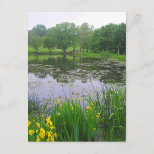 Potter Lake en Lawrence, Kansas, Carte postale