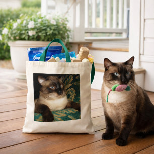 Poty Face Sac de chat Siamese