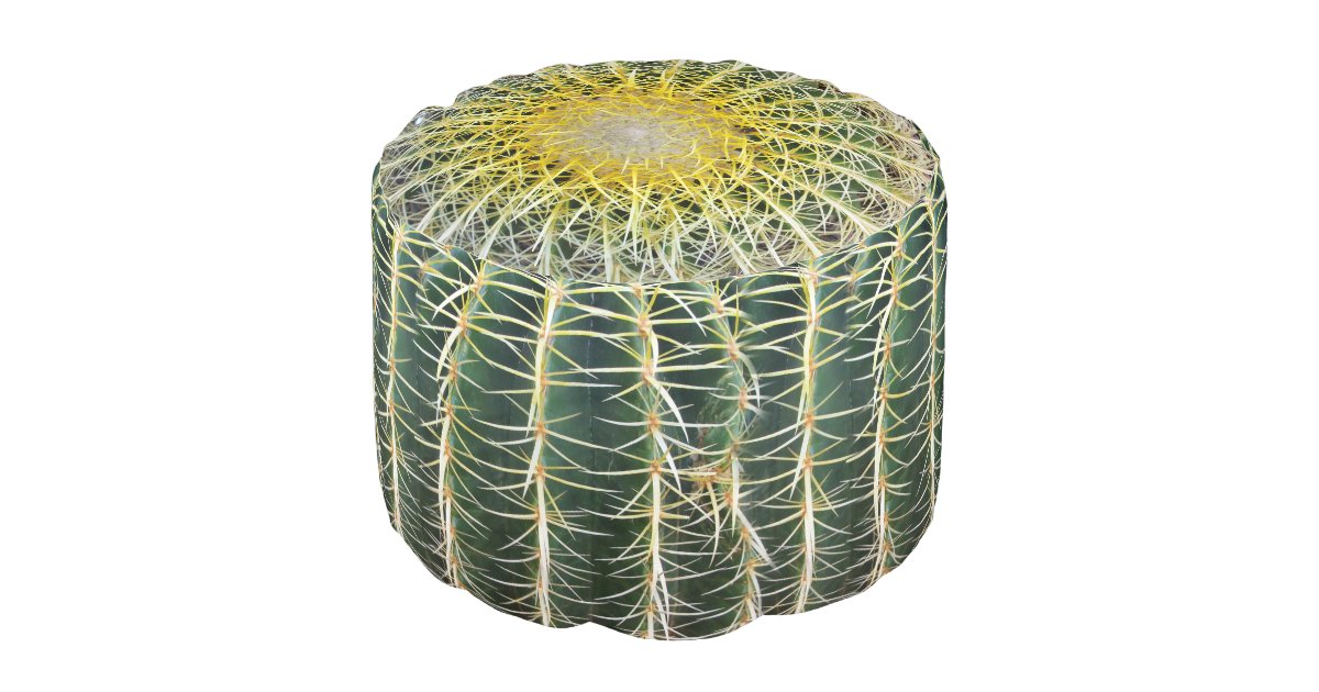 Pouf Cactus Tropical Inconfortable Drole Zazzle Be Pouf Cactus Tropical Inconfortable Drole Zazzle Be