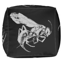 Style minimaliste noir et blanc Insectes Bugs