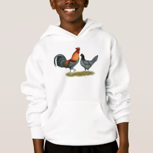 Poule bleue du Delaware
