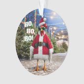 Poule de Noël (devant)