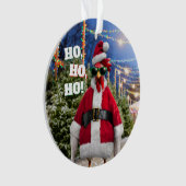 Poule de Noël (devant)