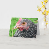 Poule grise écossaise - carte de voeux de volaille (Fleur jaune)