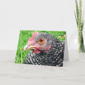 Poule grise écossaise - carte de voeux de volaille