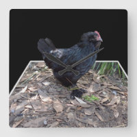 Poule noire en relief, Horloge murale carrée